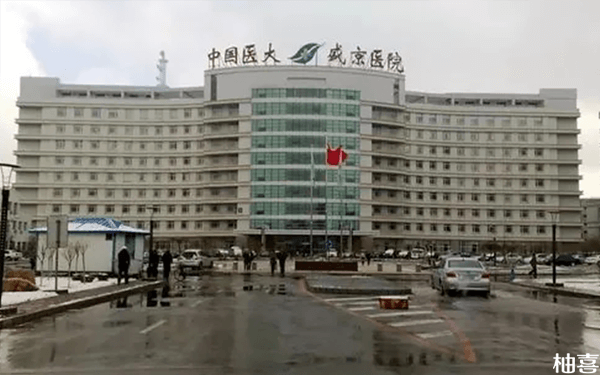 求2024沈阳盛京医院生殖中心做试管婴儿的详细流程？