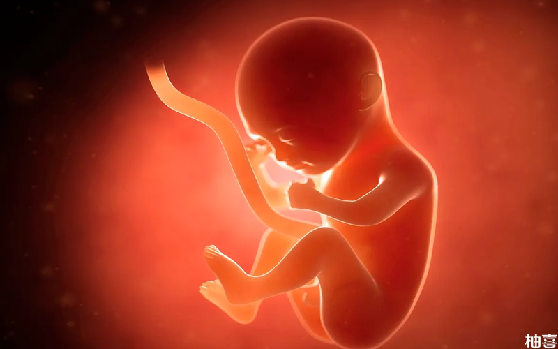 宝宝的性别主要由父亲和母亲的染色体决定