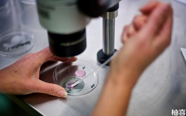 2024吉大一院做第三代试管婴儿胚胎筛查费用是多少?