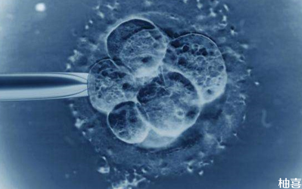 基础卵泡仅有1个，做试管婴儿成功怀孕几率大吗?