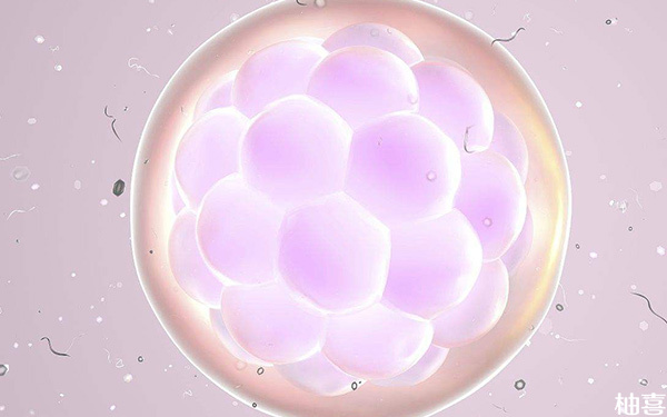 取卵后只有1个优势卵泡，正常可以配成几个胚胎?