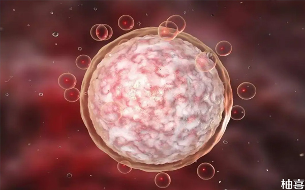 为什么一次排卵有2个卵泡，这种情况正常吗？	