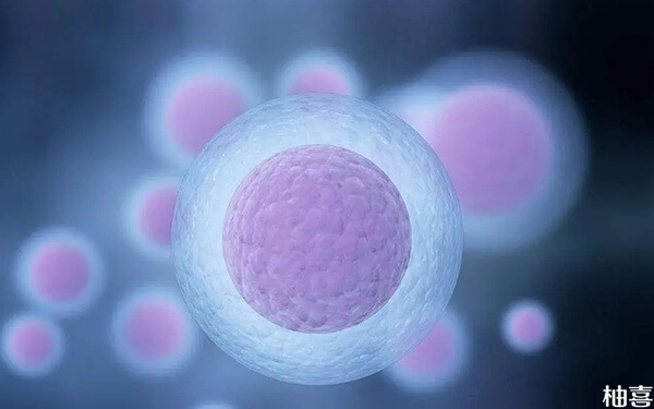 取了3个卵泡做试管婴儿能配成功几个胚胎?