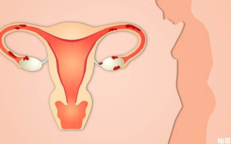 双侧卵巢每月有6个基础卵泡是正常的