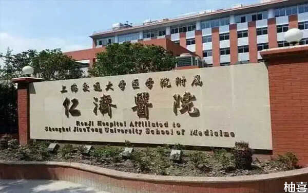 上海仁济医院做供精人工授精手术的大概费用是多少钱？