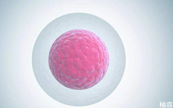 基础卵泡6个做试管成功怀孕的希望高吗?几率是多少?