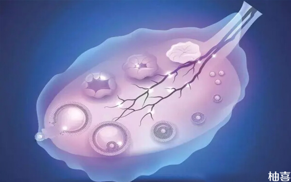 7个基础卵泡可以促排吗？能取出来多少啊？