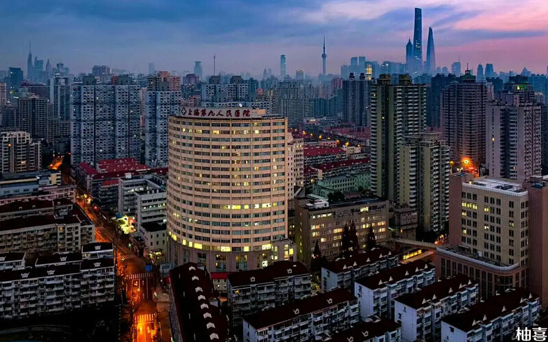 上海九院全貌