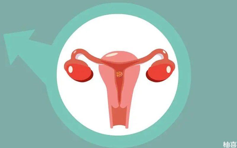 卵巢功能会影响卵泡数量发育
