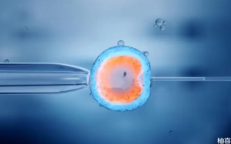 医生技术是影响胚胎培育的重要因素