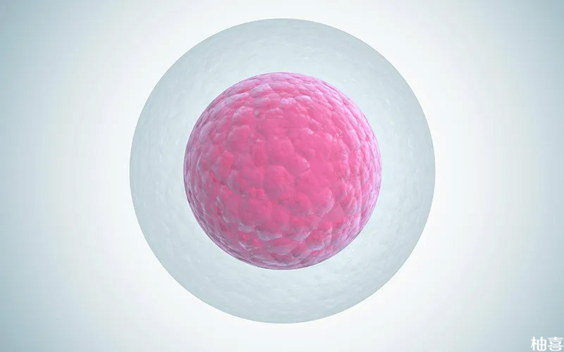 雌二醇数值和卵泡的大小相互