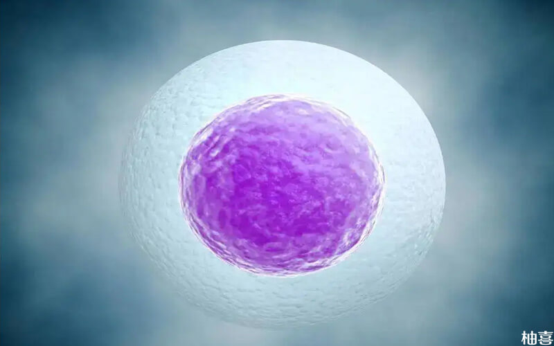 促排卵后监测到有10个卵泡