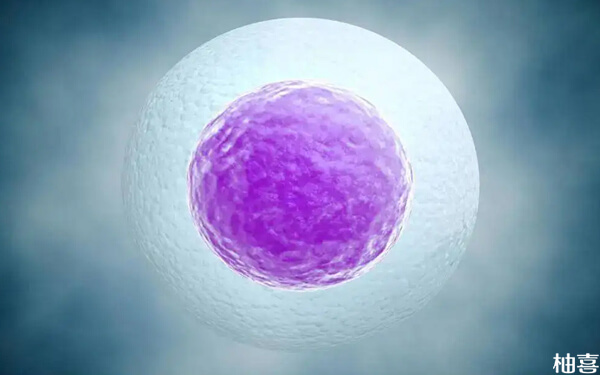 11个卵泡做试管婴儿能配成功几个可移植的胚胎？