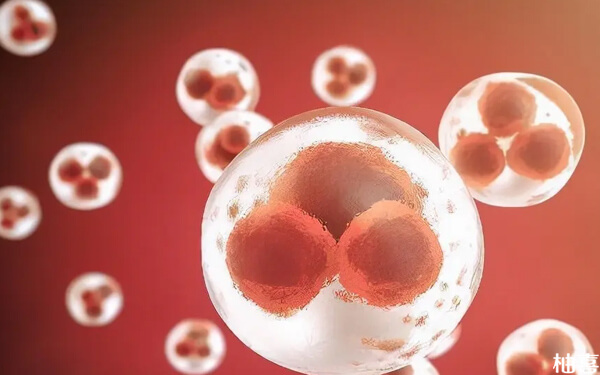 左右两侧卵巢共有11个卵泡，雌二醇对应多少算正常？