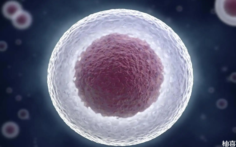 卵泡的大小和雌二醇含量是相互的