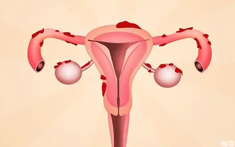 卵巢反应差的女性促排后成熟卵泡更少