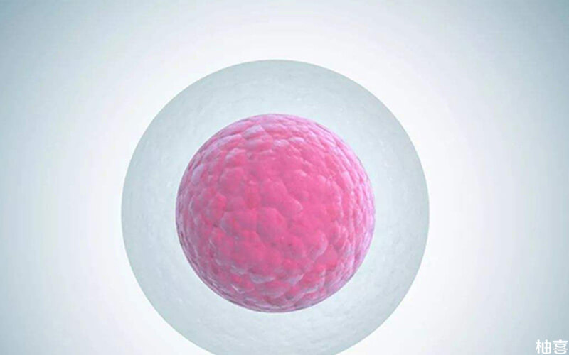 右侧卵巢有14个基础卵泡