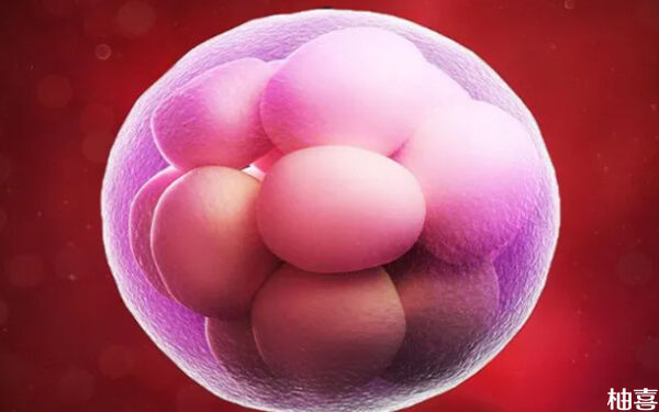 左右卵巢两侧各有15个卵泡是情况比较严重的多囊吗？