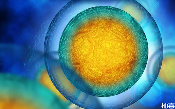 15个成熟卵泡一般和精子能够配对成功几个胚胎？