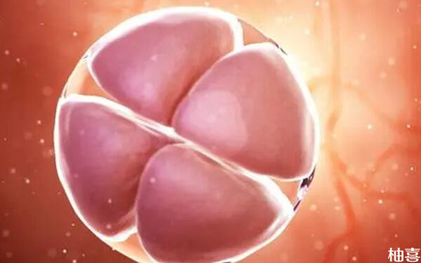 17个卵泡只配成了5个胚胎为什么?一般能成功几个?