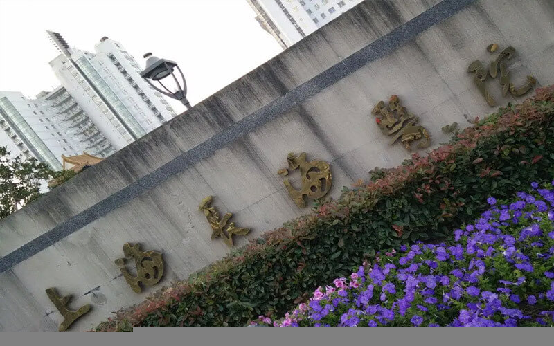 上海长海医院是一所现代化大型综合性医院