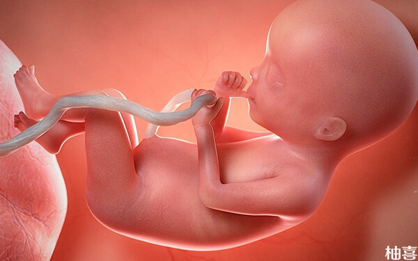 孕晚期羊水量过少导致胎儿畸形的几率大不大? 孕晚期羊水少怎么办
