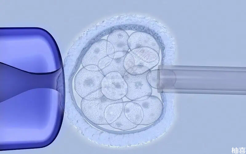 供卵试管婴儿技术