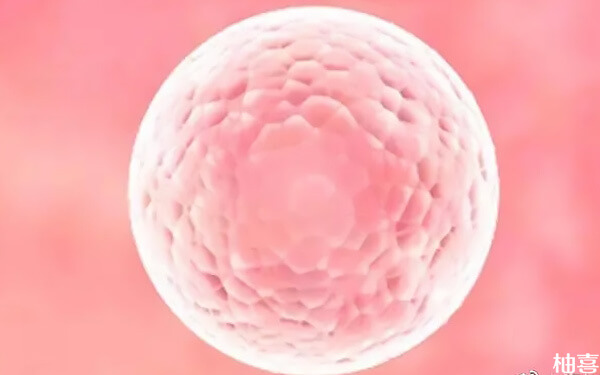 取出19个卵泡能配成功几个胚胎?能超过6个吗?