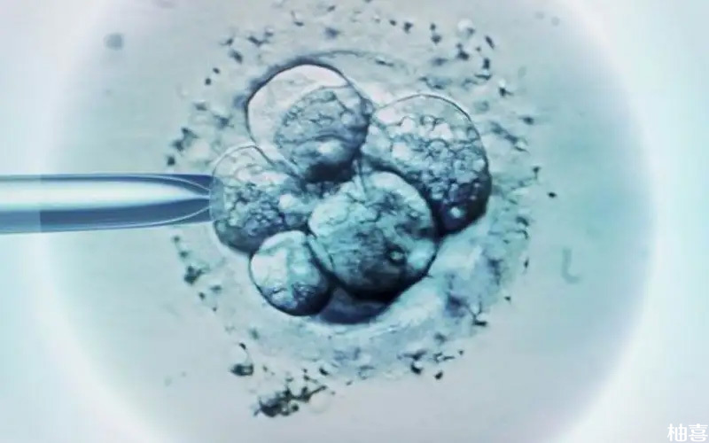 成熟卵泡数量与可配成的胚胎数量没有任何联系