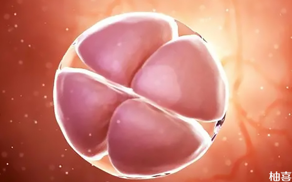 20个卵泡做试管婴儿能成功配对几个可以用的胚胎?
