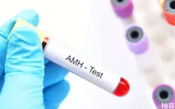一般amh值低于多少建议通过试管婴儿怀孕?