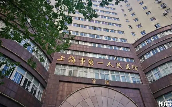 上海市第一人民医院生殖中心吴煜医生试管婴儿怎么样?