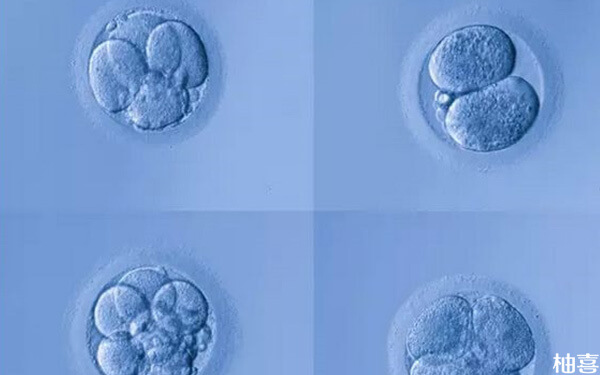 移植3ba囊胚后有成功着床怀孕的姐妹吗?