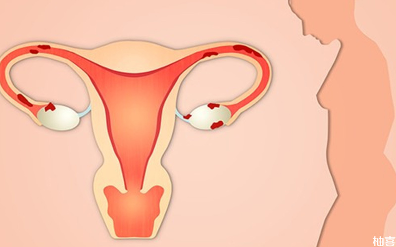 子宫内膜影响胚胎着床