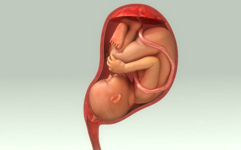 胎儿不入盆和胎儿大小有关系