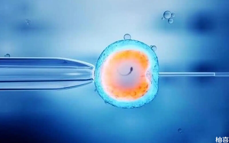 胚胎移植数越多不代表成功率越高