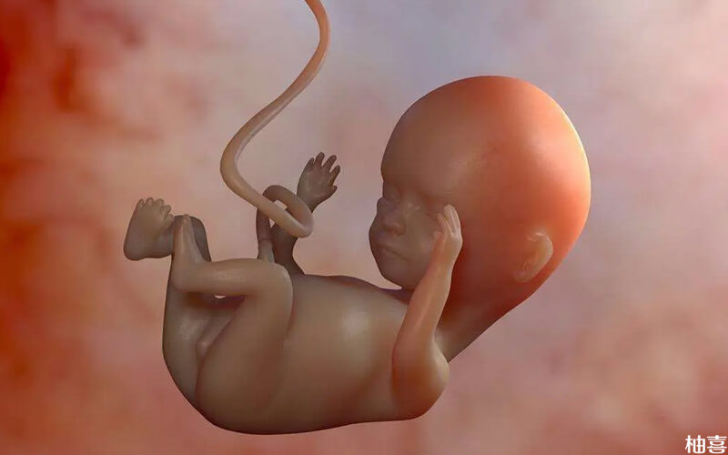 胎儿是否发动要看胎盘成熟度