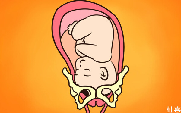 二胎胎儿头位高但是不入盆，可以用力按肚子生下来吗？