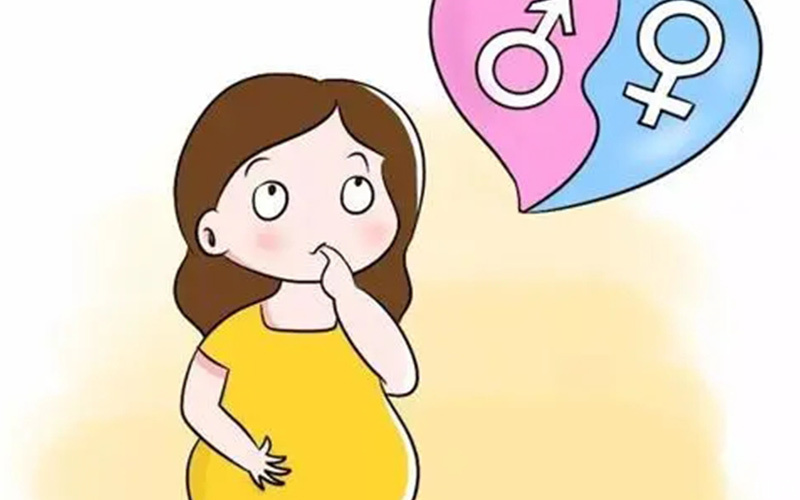 胎儿性别与怀孕季节无关