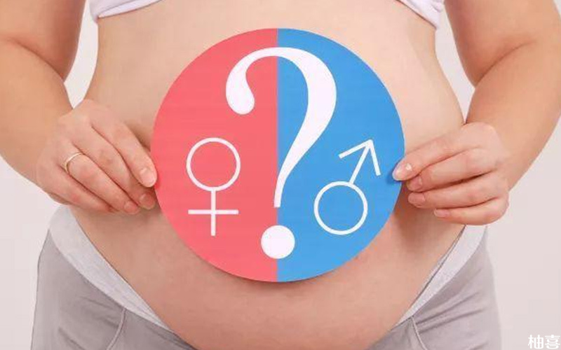 决定胎儿性别的是精子所携带的染色体