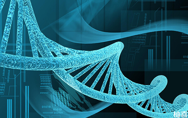 第三代试管可以筛选出哪些基因遗传疾病?