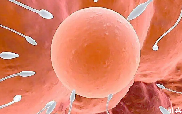 排卵期性激素六项正常却不排卵有原因，并非是怀孕别窃喜