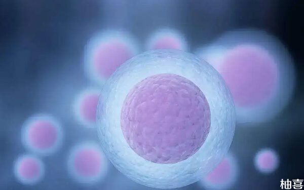 排卵期不排卵用容易怀孕的同房姿势会怀上吗？