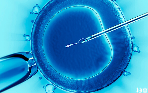 8c2胚胎是什么级别，移植成功率高吗?
