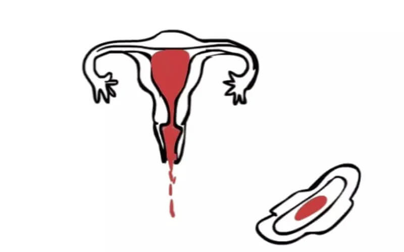 排卵期出血示意图