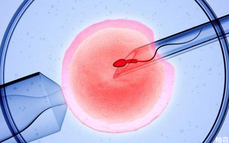 子宫内膜蠕动会影响移植成功率