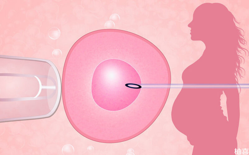 拮抗剂方案移植鲜胚的着床成功率
