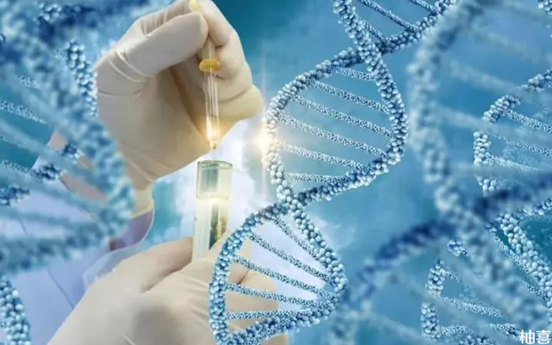 基因筛查时间受医院设备和医生技术影响
