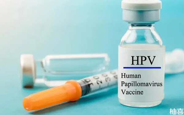 月经第一天不小心打了HPV疫苗会影响免疫效果吗? 不纯的萨摩耶照片