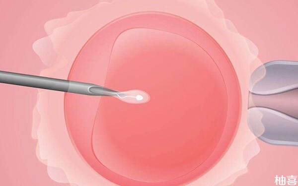 移植第6天雌二醇数值达到多少胚胎更容易着床?